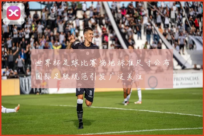 世界杯足球比赛场地标准尺寸公布国际足联规范引发广泛关注